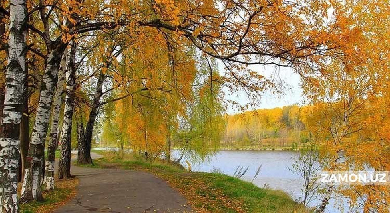 O‘zgidromet: "Hafta oxiriga borib havo harorati pasayadi"