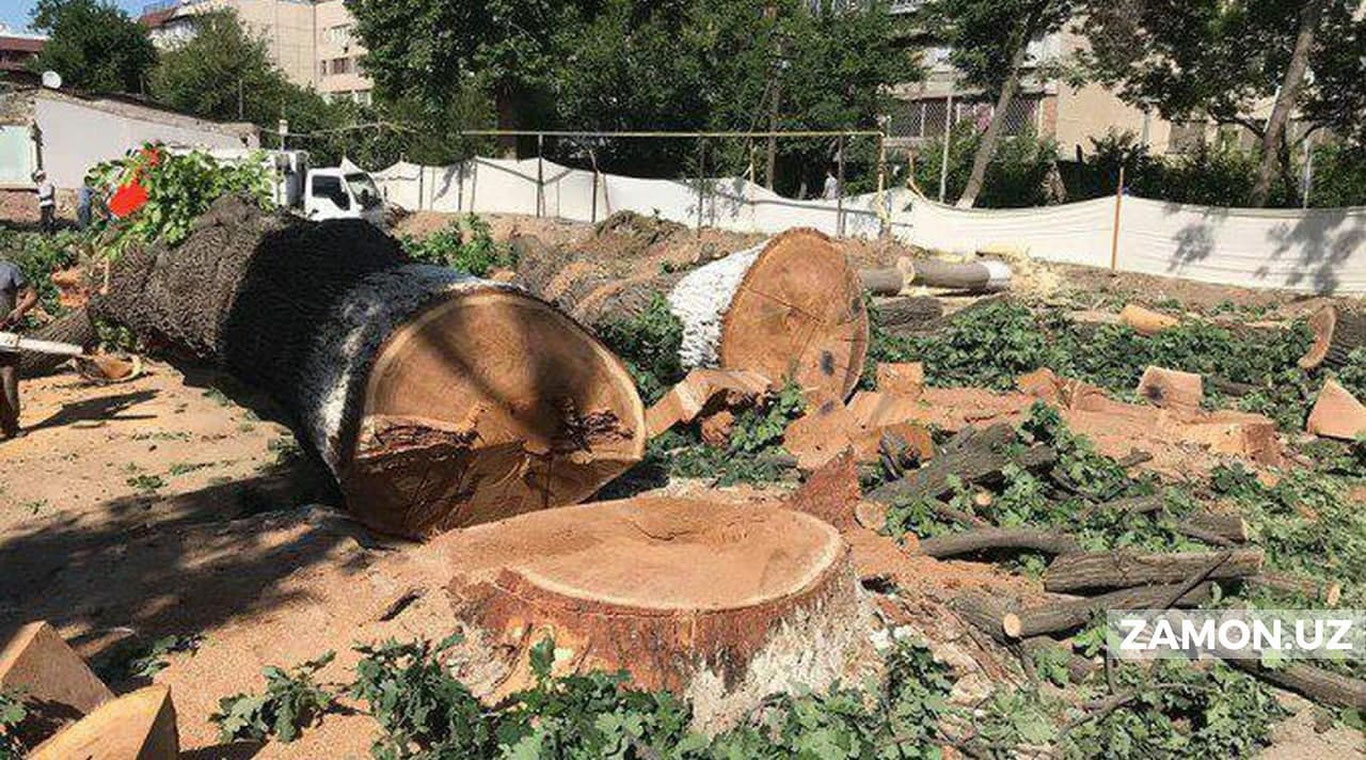Ekologiya sohasidagi huquqbuzarliklar uchun qo‘shimcha javobgarlik joriy qilindi