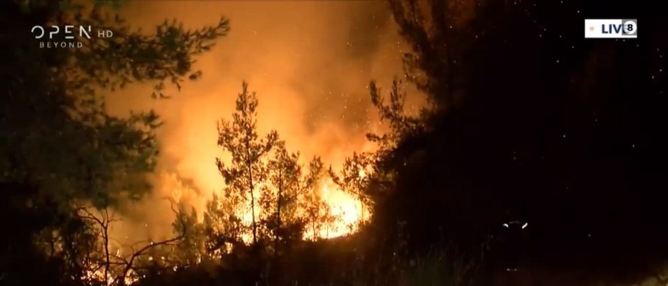 Журналист жонли эфир пайтида таланди