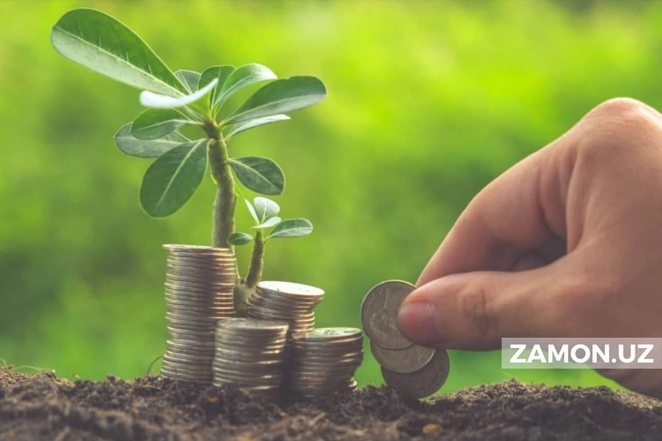 Йирик инвестиция лойиҳаси қиймати белгиланди. У 10 миллион доллардан кам бўлмаслиги керак