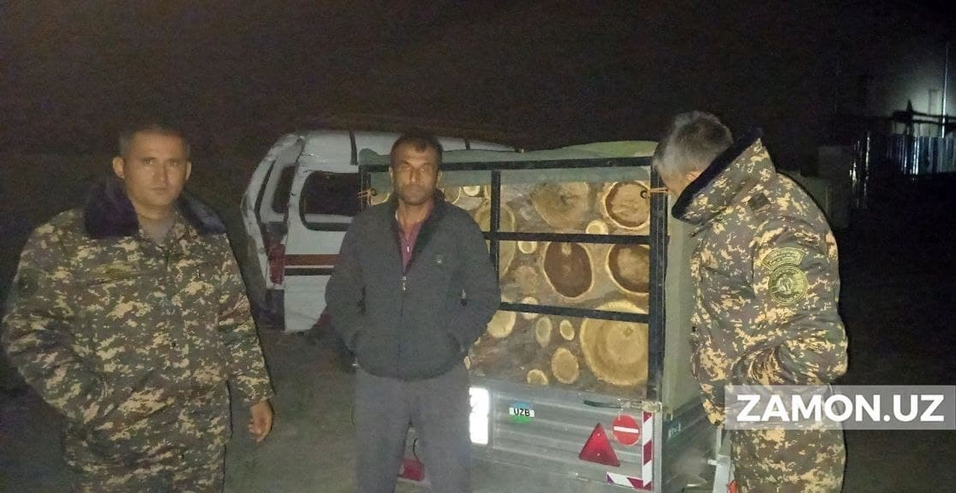Jiyda daraxtlarini noqonuniy  kesib uyiga olib ketgan shaxsga chora ko‘rildi