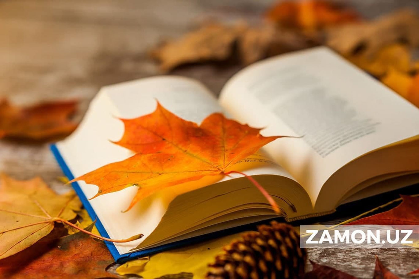 8 сентябр куни Ўзбекистонда кутилаётган об-ҳаво маълумоти