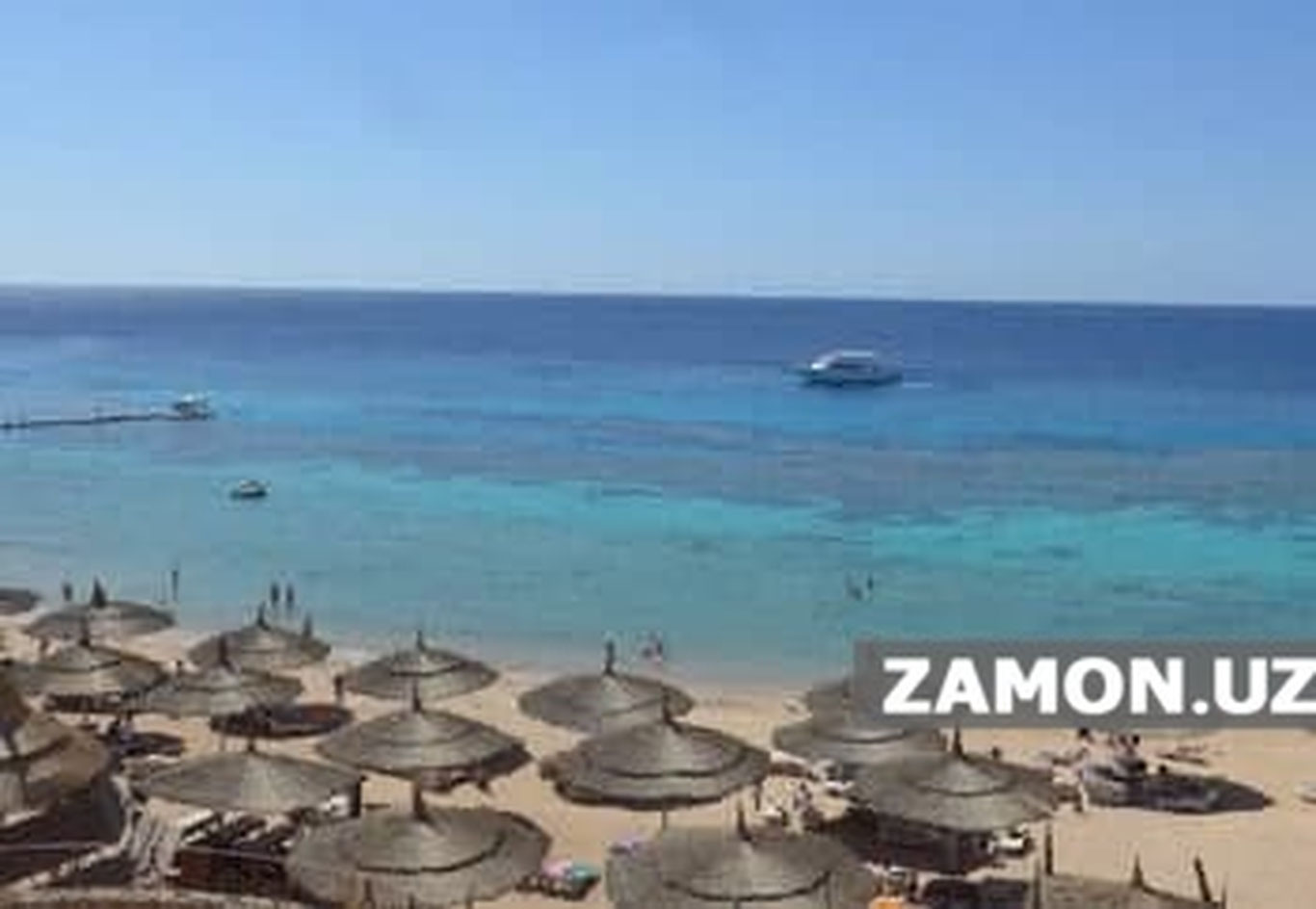 Миср қайтиш рейси бекор қилинганларни текин меҳмонхонага жойлаштиради