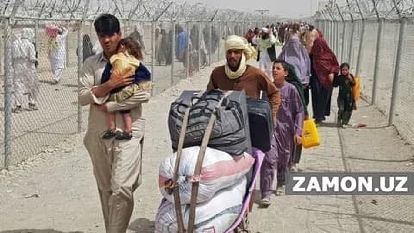 Қанча афғон қочқини ватанига қайтди?