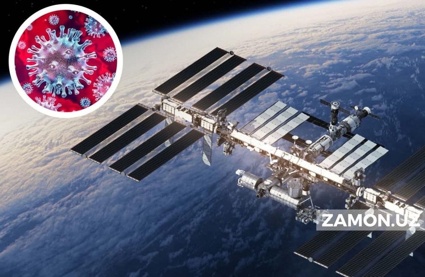 Коронавирус оқсили Халқаро космик станцияга юборилади