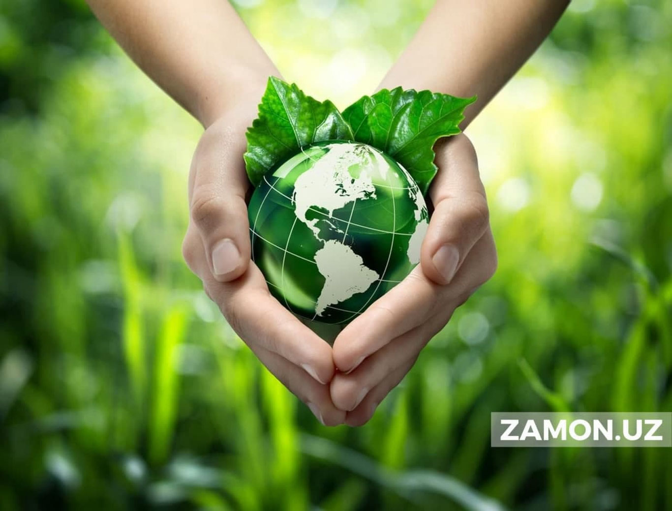 Экология соҳасида жавобгарликни кучайтириш нуқтаи назаридан амалдаги қонунлар қайта кўриб чиқилади
