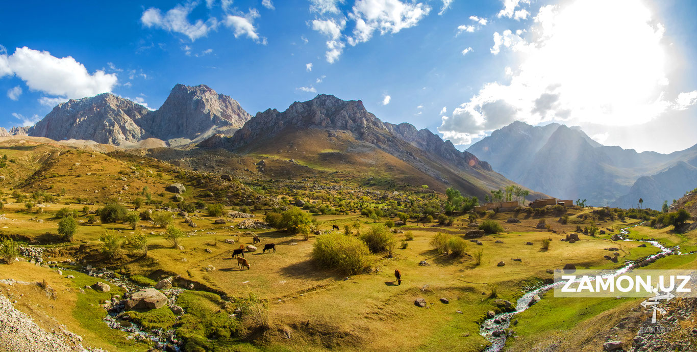 Навоийда янги табиат боғи ва қўриқхона пайдо бўлади