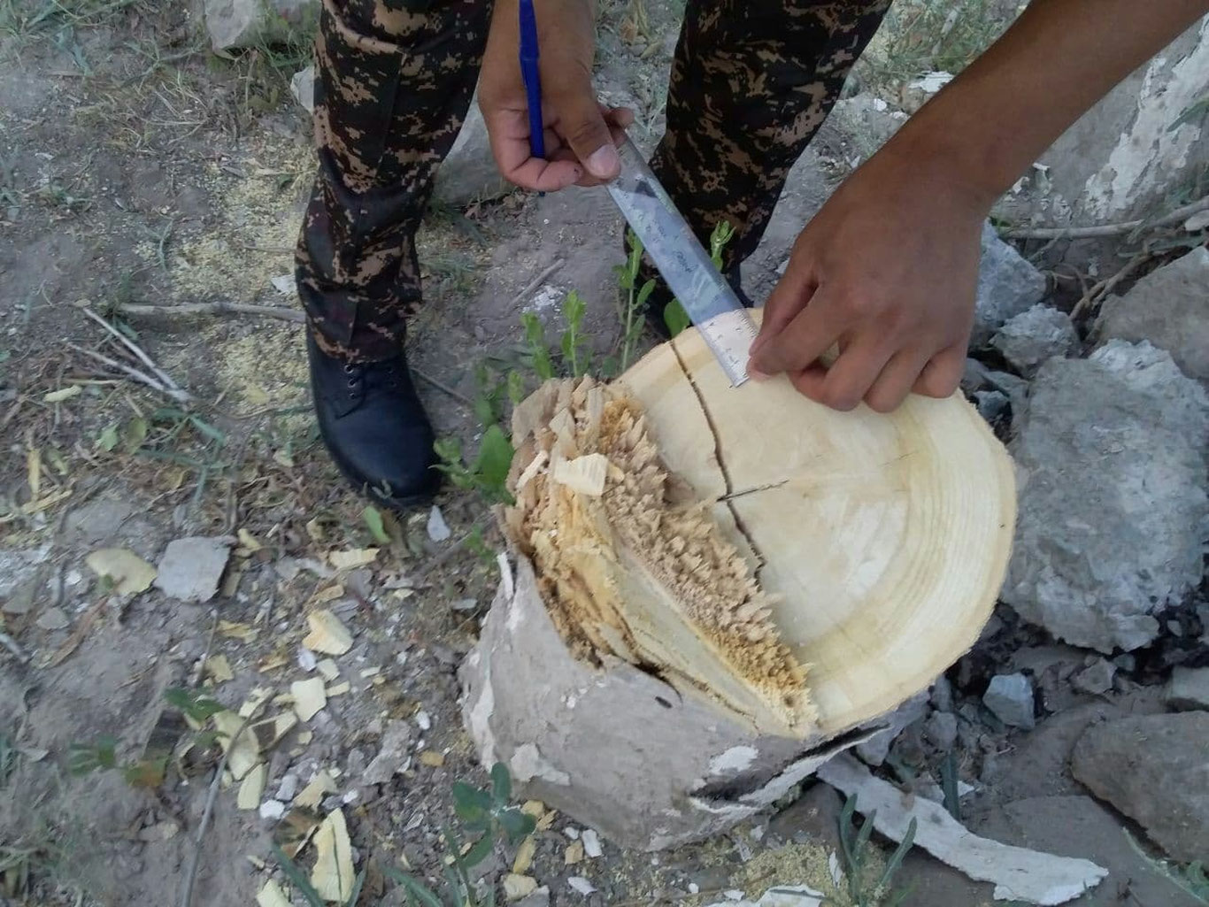 Xorazmda “kesarmon”larga chora ko‘rildi