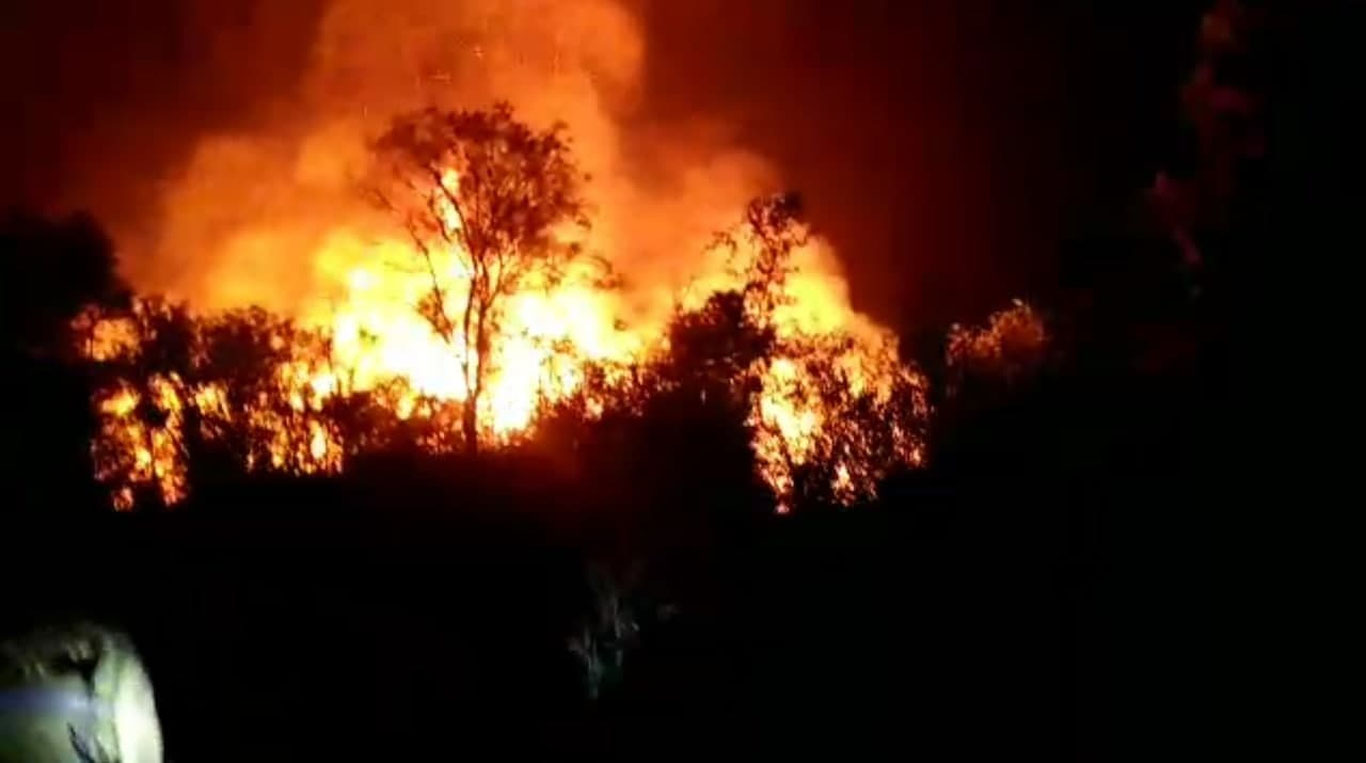 Самарқанддаги боғда ўрмон ёнғини содир бўлди