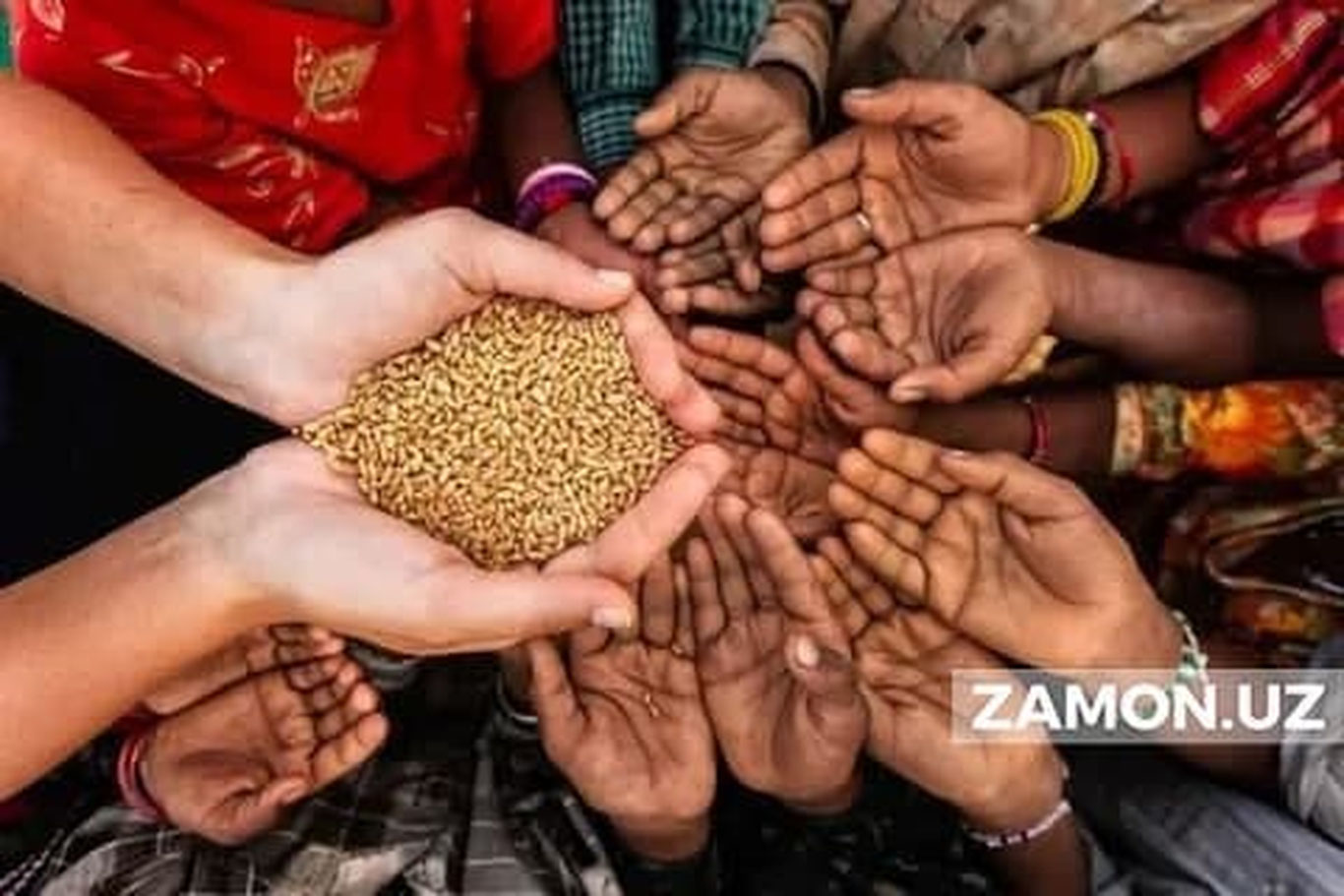 Украинадаги уруш бўғдой нархи кўтарилишига олиб келиши мумкин — Франция қишлоқ хўжалиги вазири