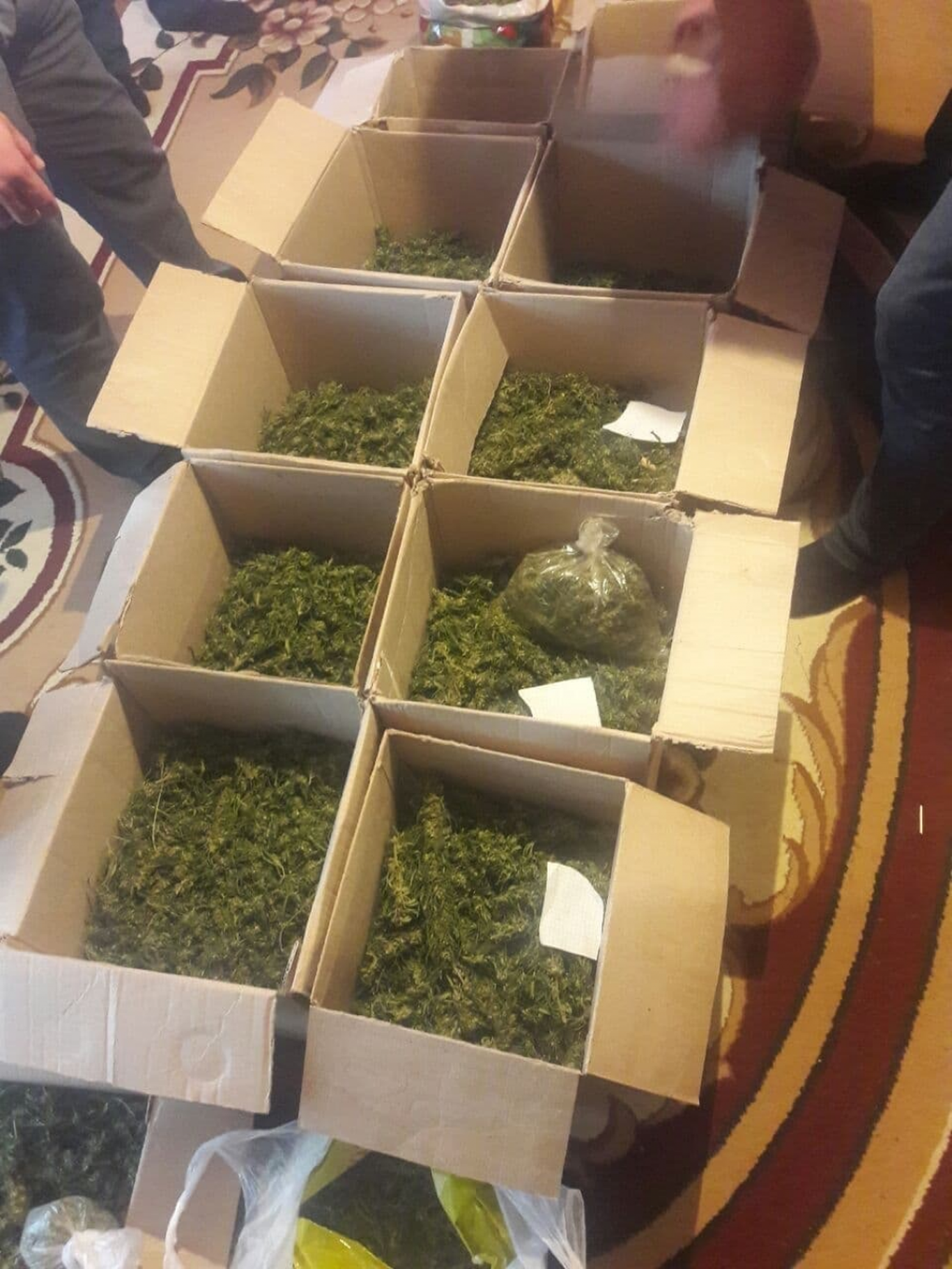 Самарқандда профилактика инспектори 15 килодан ортиқ гиёҳвандлик моддасини аниқлади