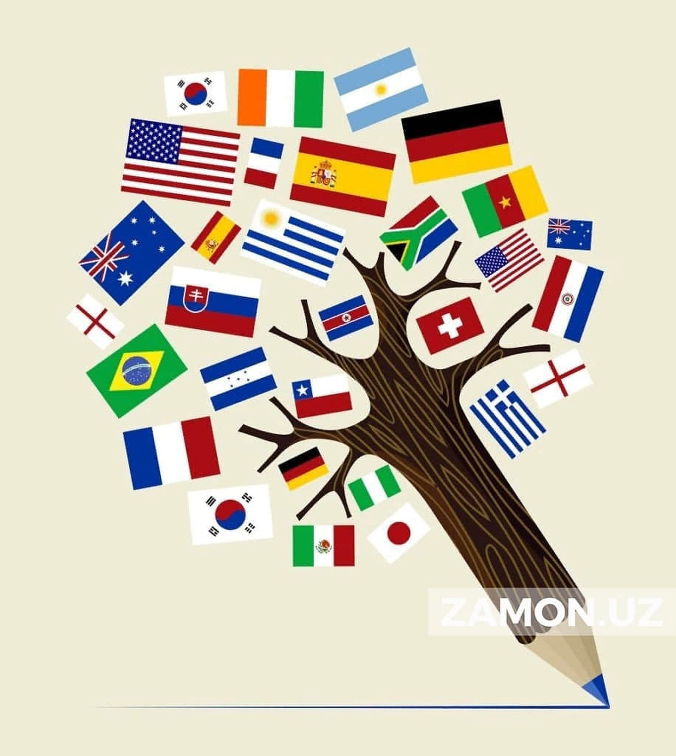 Uzluksiz taʼlim tizimida bir nechta chet tilini o‘rganish konsepsiyasi tasdiqlandi