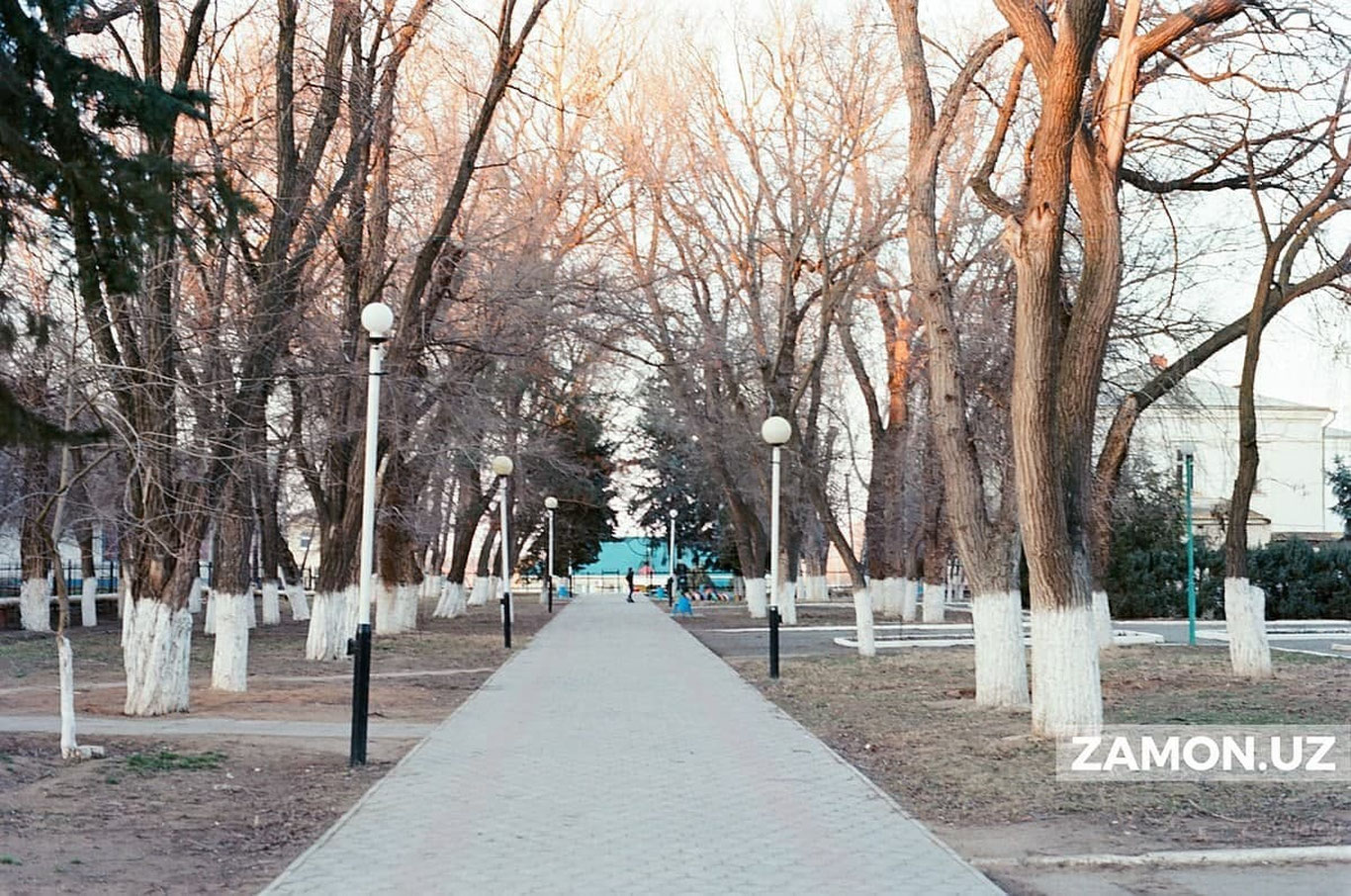 Anomal issiq havo dam olish kunlari anomal sovuq bilan o‘rin almashadi