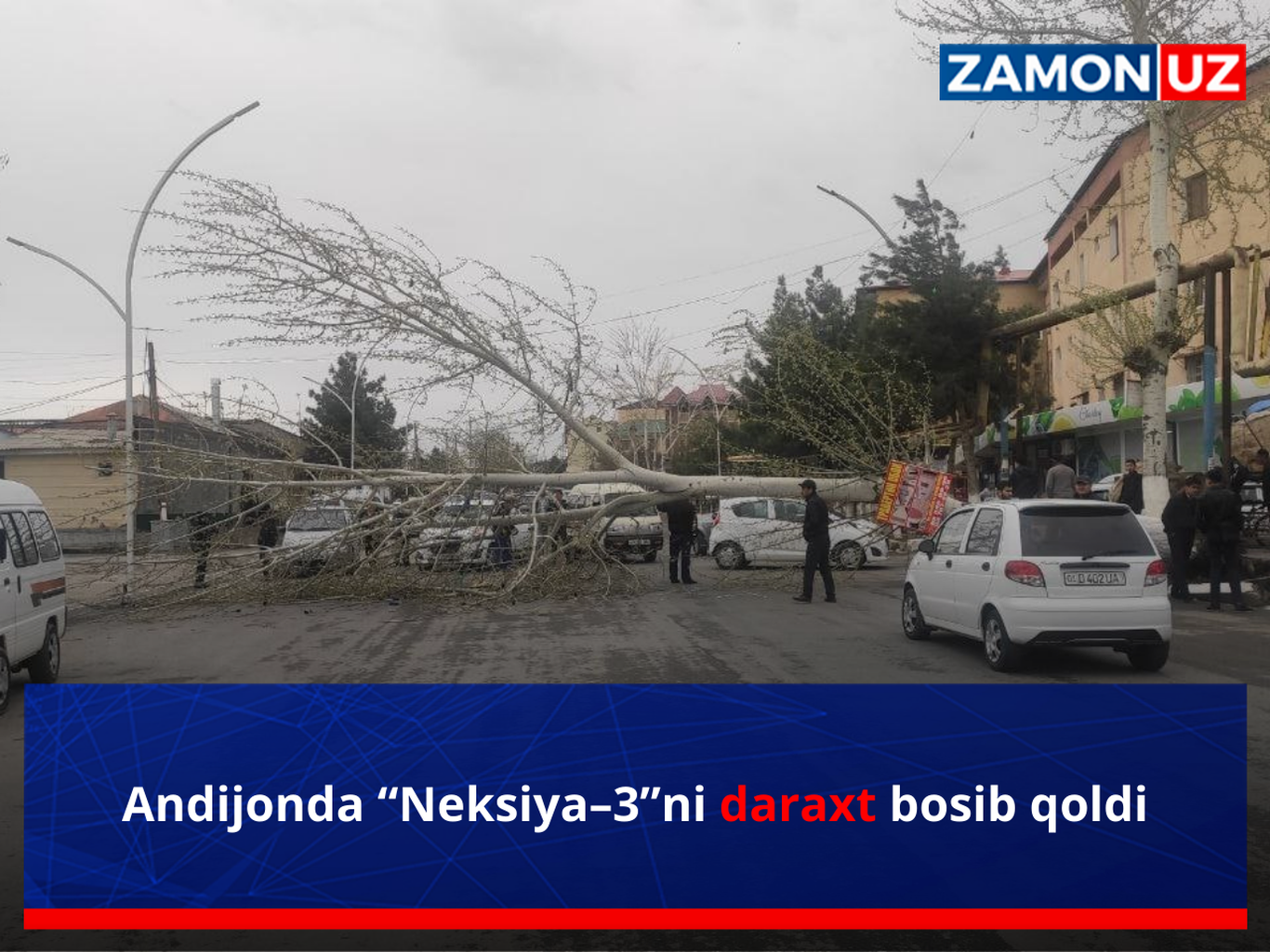 Andijonda “Neksiya–3”ni daraxt bosib qoldi