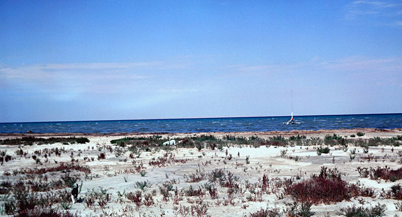 "Оролбўйини экологик инновациялар ва технологиялар ҳудудига айлантирамиз" — Президент Шавкат Мирзиёев