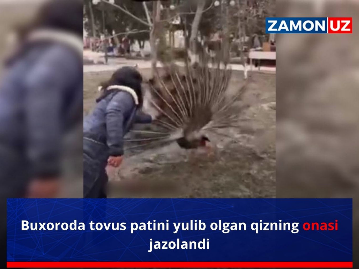 Бухорода товус патини юлиб олган қизнинг онаси жазоланди