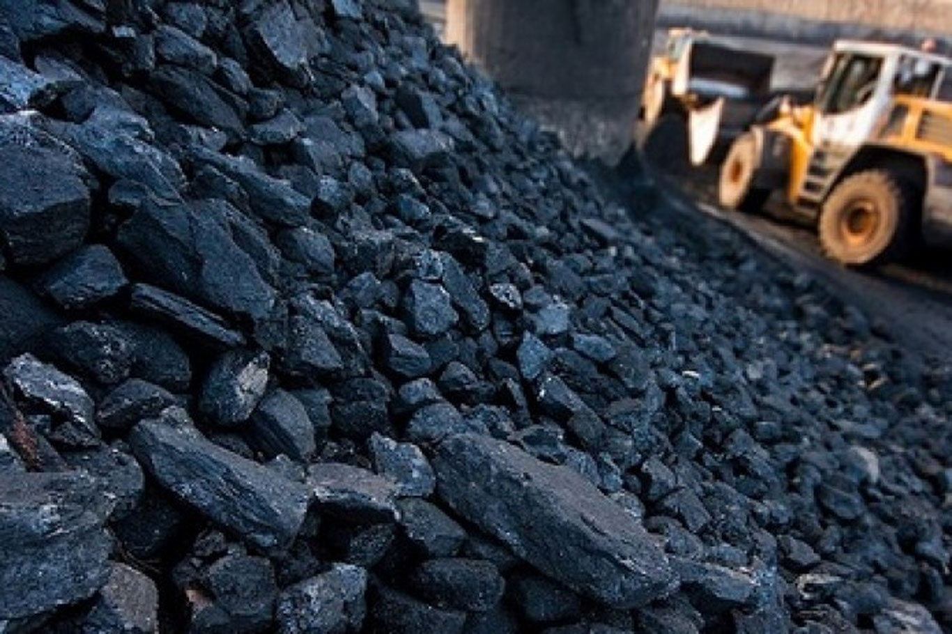 Термиз шаҳрида кўмир маҳсулоти  талон-торож қилингани маълум бўлди