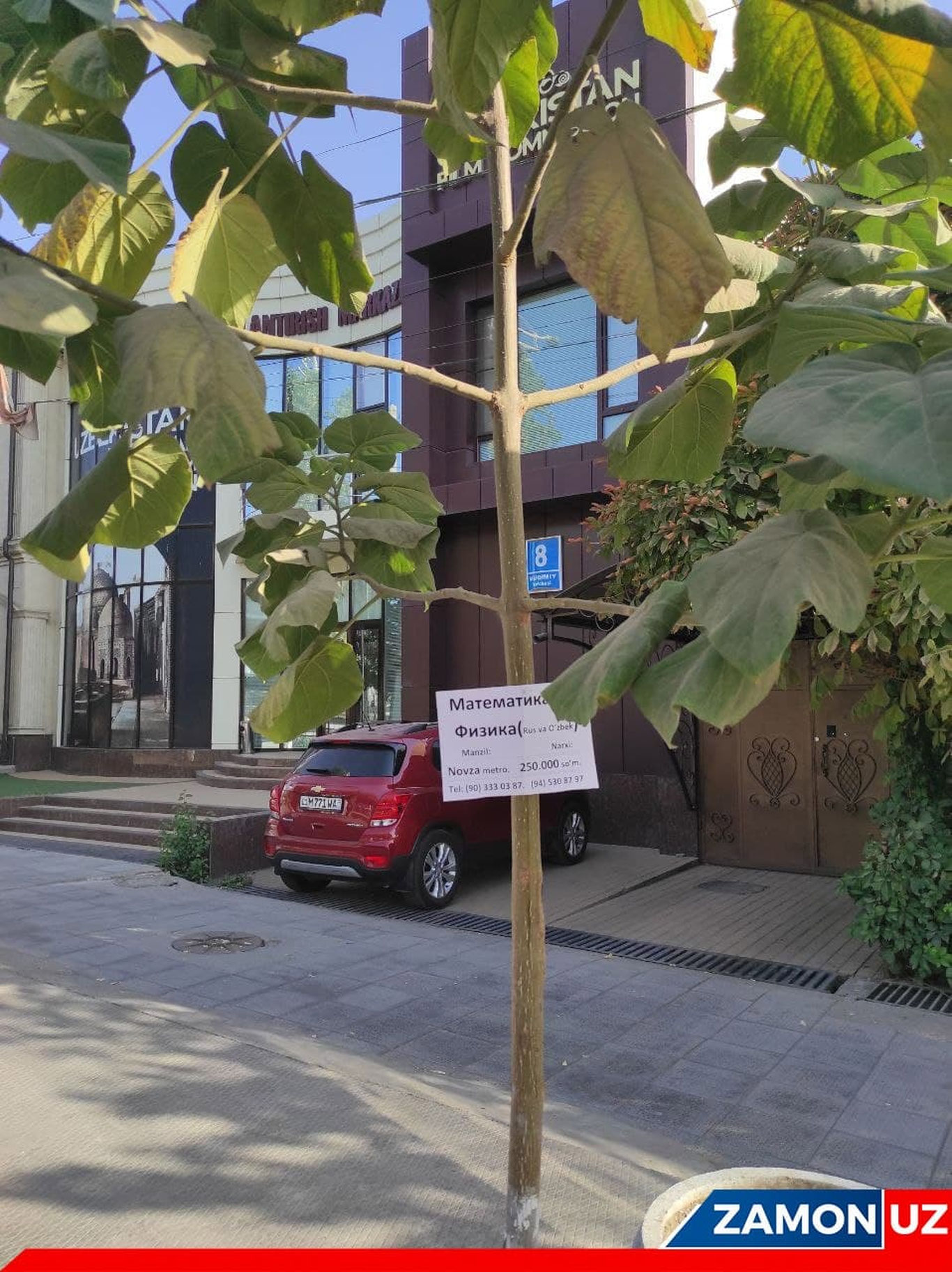 Дарахтнинг танаси эълон ёки реклама қоқиладиган жой...ми?