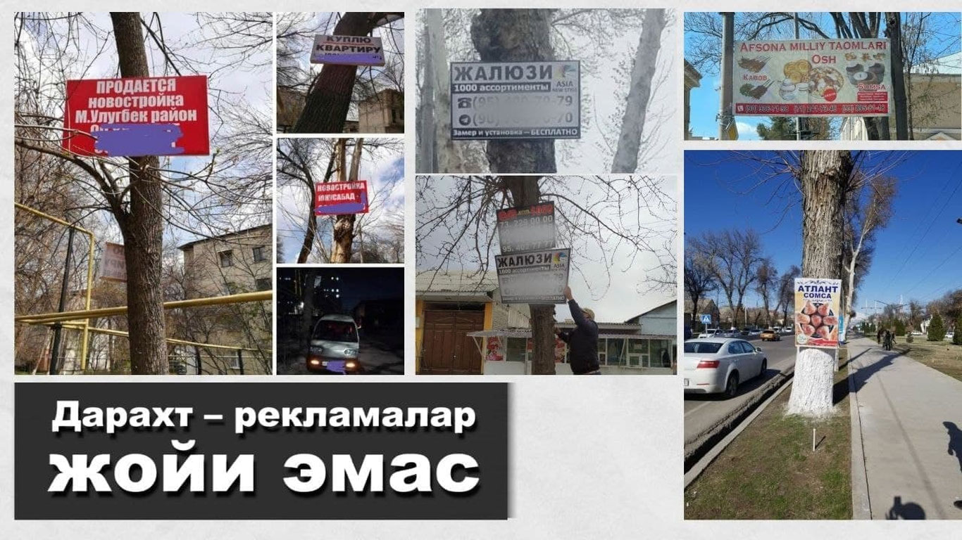 Дарахт – рекламалар учун жой эмас