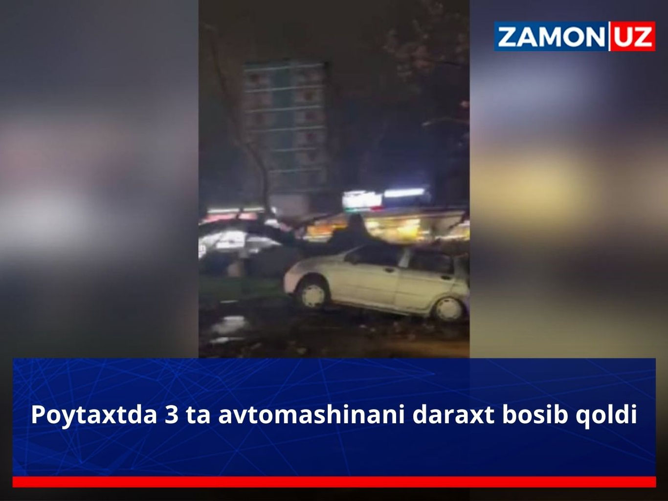Poytaxtda 3 ta avtomashinani daraxt bosib qoldi