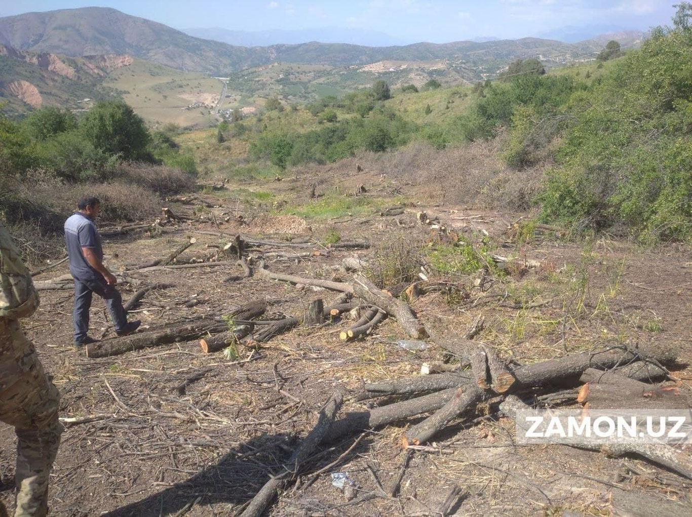 "Aмирсой" курорт зонасида 700 туп дарахт кесиб ташланди. Ҳолат бўйича жиноят иши қўзғатилди
