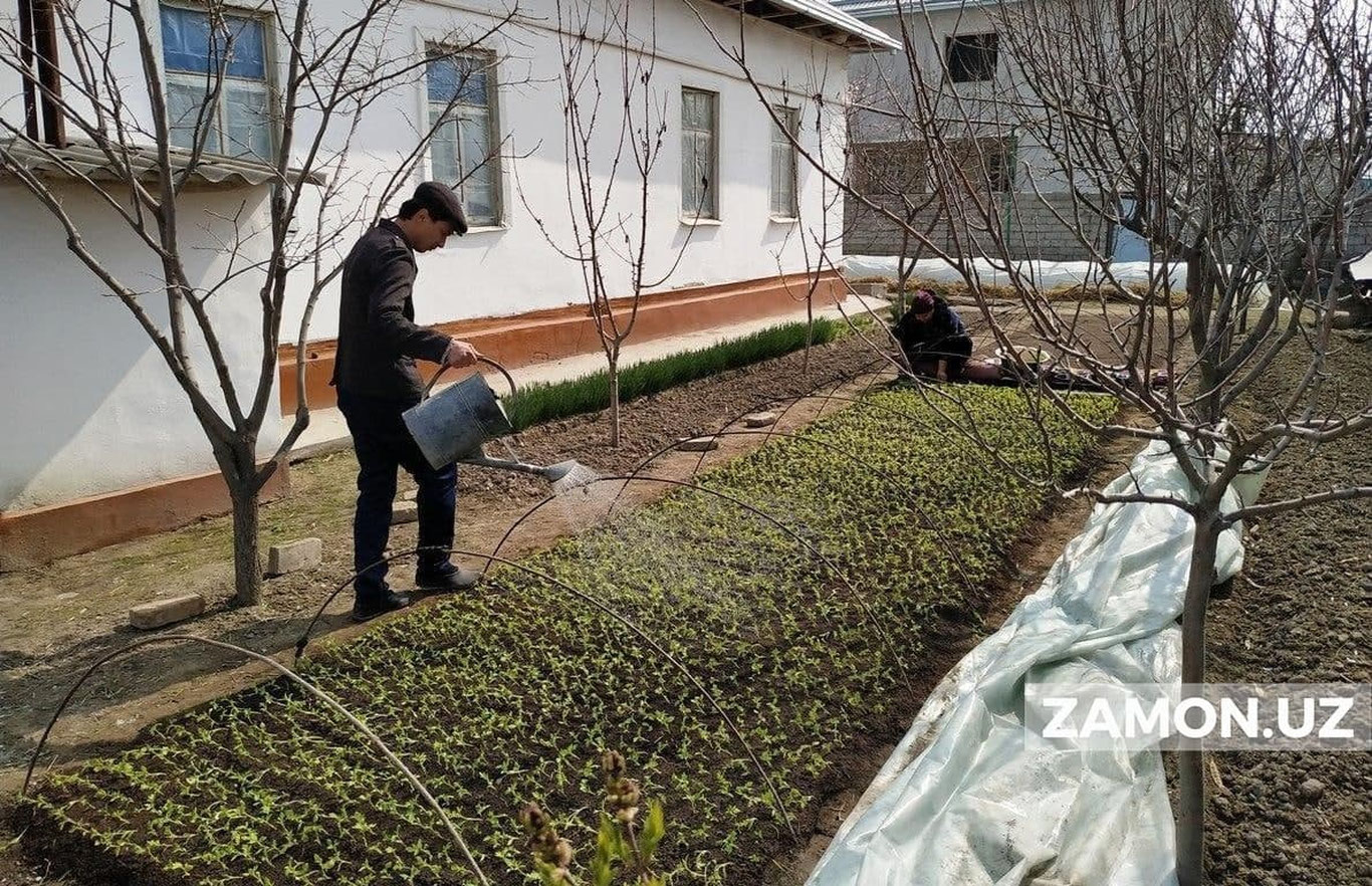 Yeri bor xonadonlarga davlat kredit ajratadi