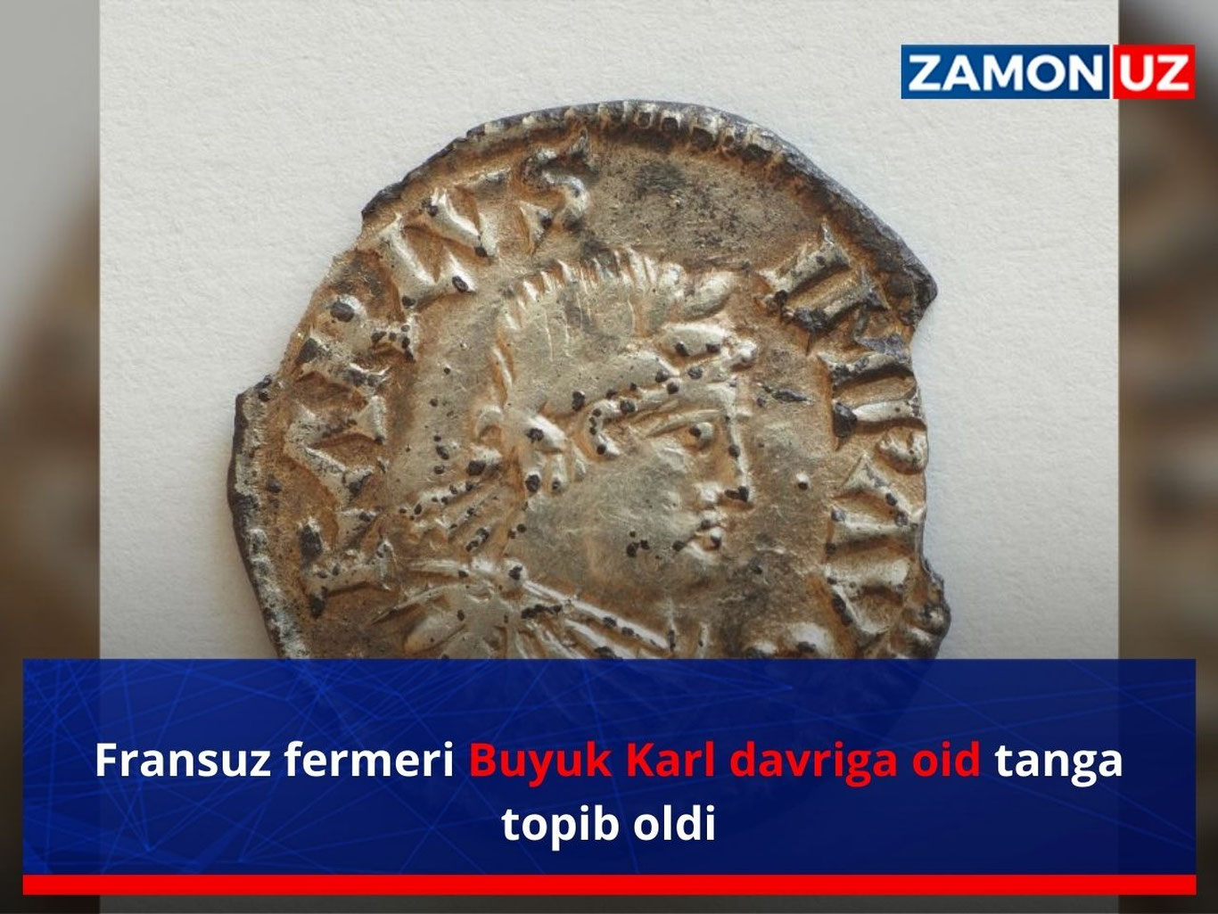 Fransuz fermeri Buyuk Karl davriga oid tanga topib oldi