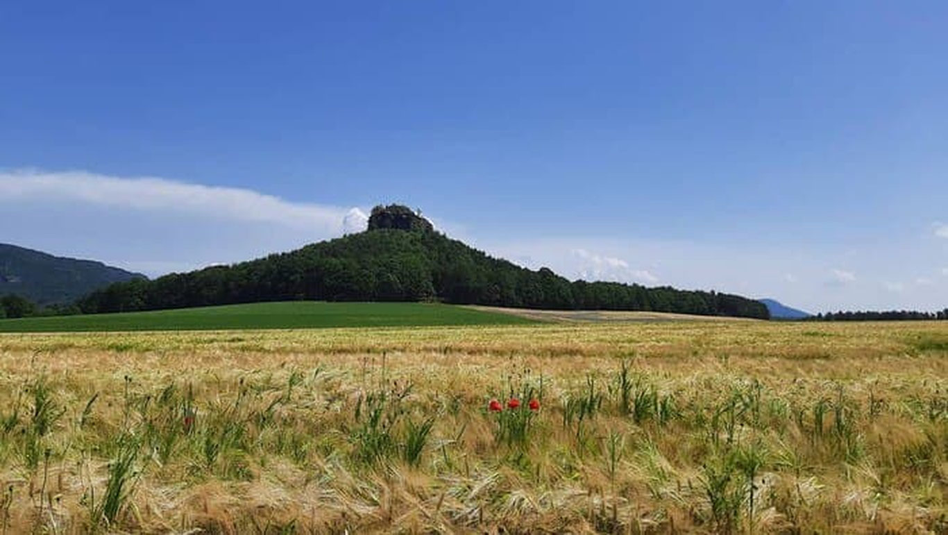 Germaniyada tog‘ sotuvga qo‘yildi