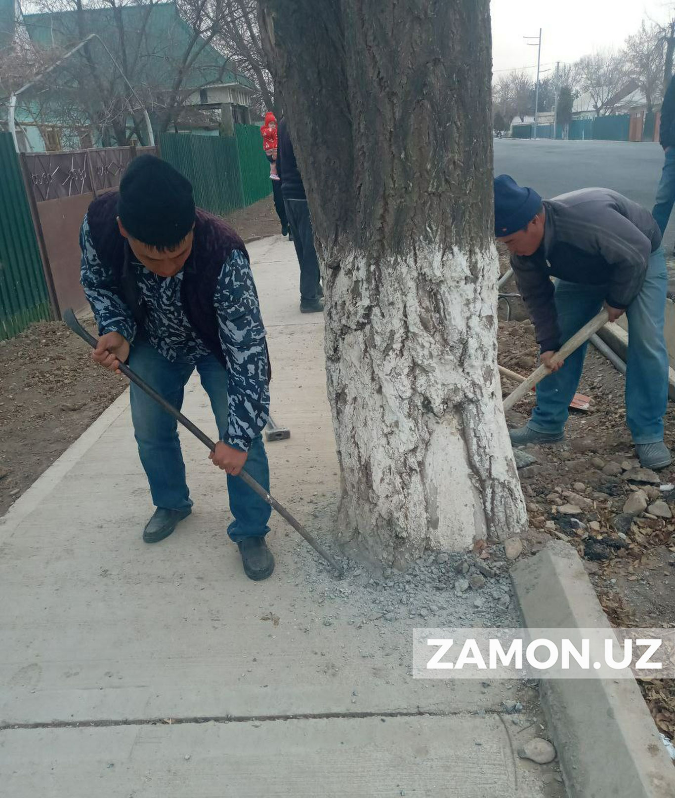 “ Биз бетонга ҳам дарахт экворорамиз!”
