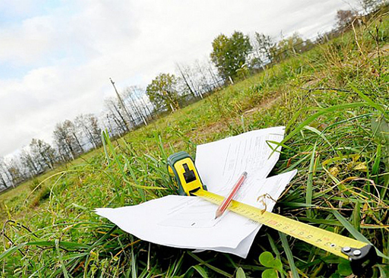 Тошкент вилоятида 263,3 гектар ер майдони ўзбошимчалик билан эгалланган