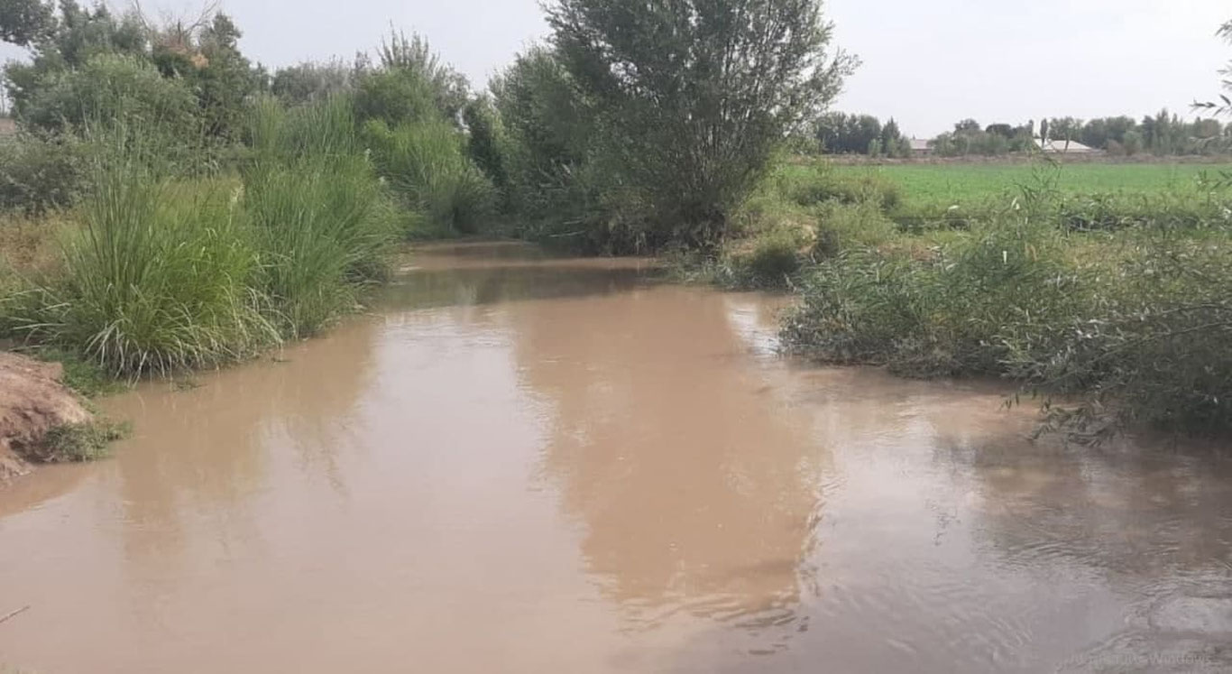 Хоразмда 82 ёшли онахон каналга тушиб кетди