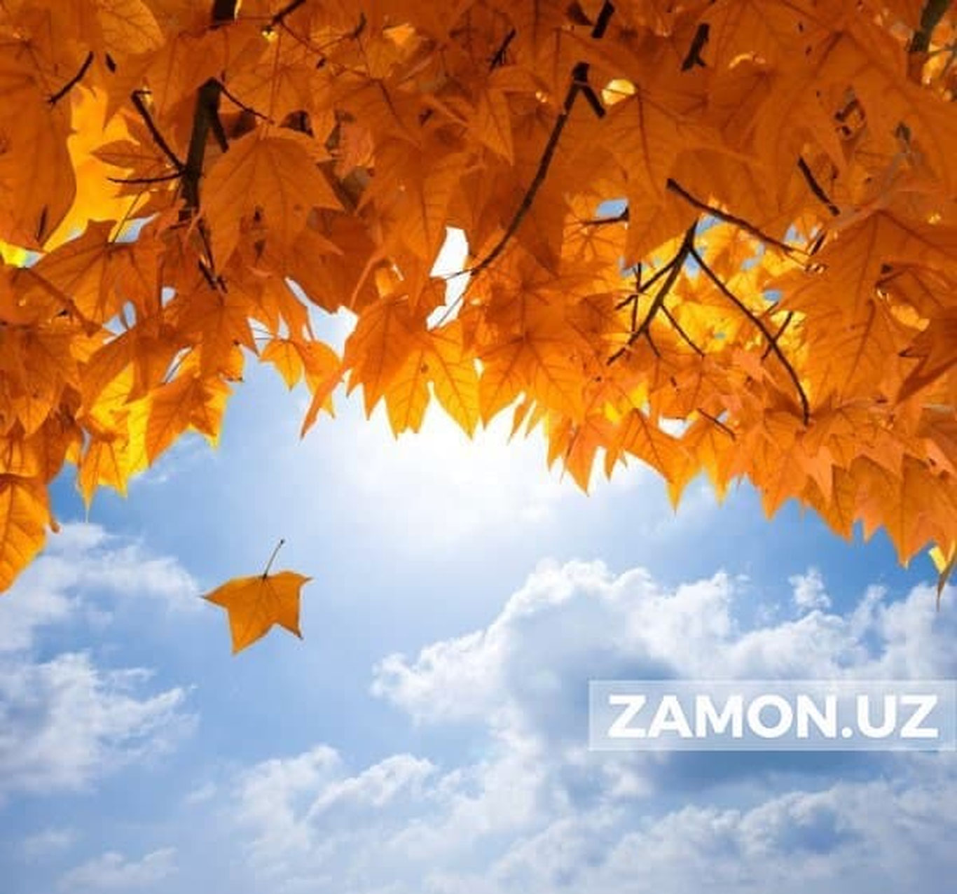 3-oktabr kuni O‘zbekistonda qanday ob-havo kutilmoqda?