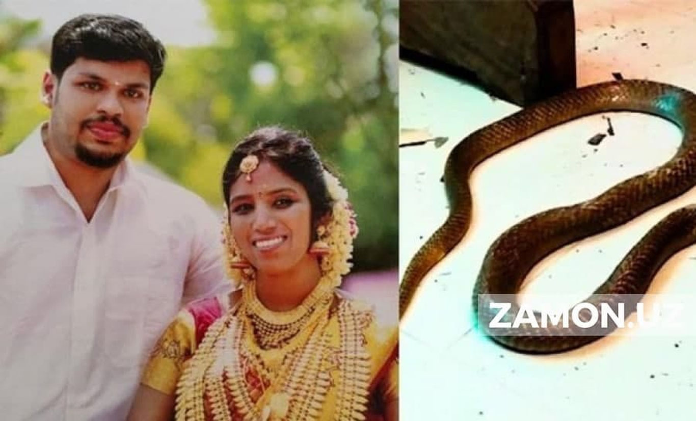 Ҳиндистонда эркак хотинининг тўшагига кобра ташлаб ўлдирди