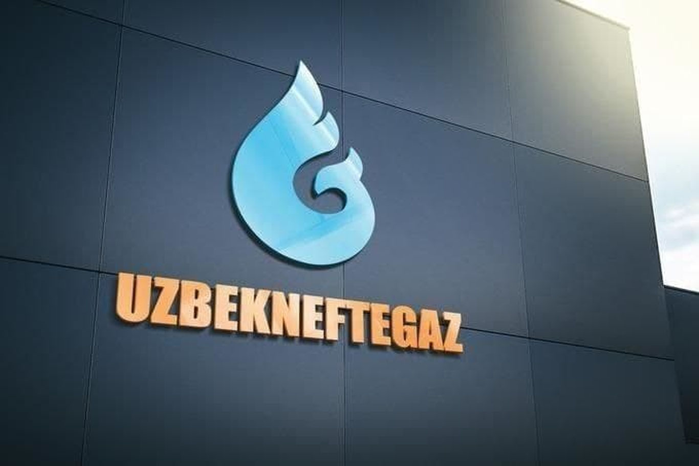 "Ўзбекнефтгаз" 482 фермер хўжаликларига ёқилғи тарқатиш шохобчаларини сотади