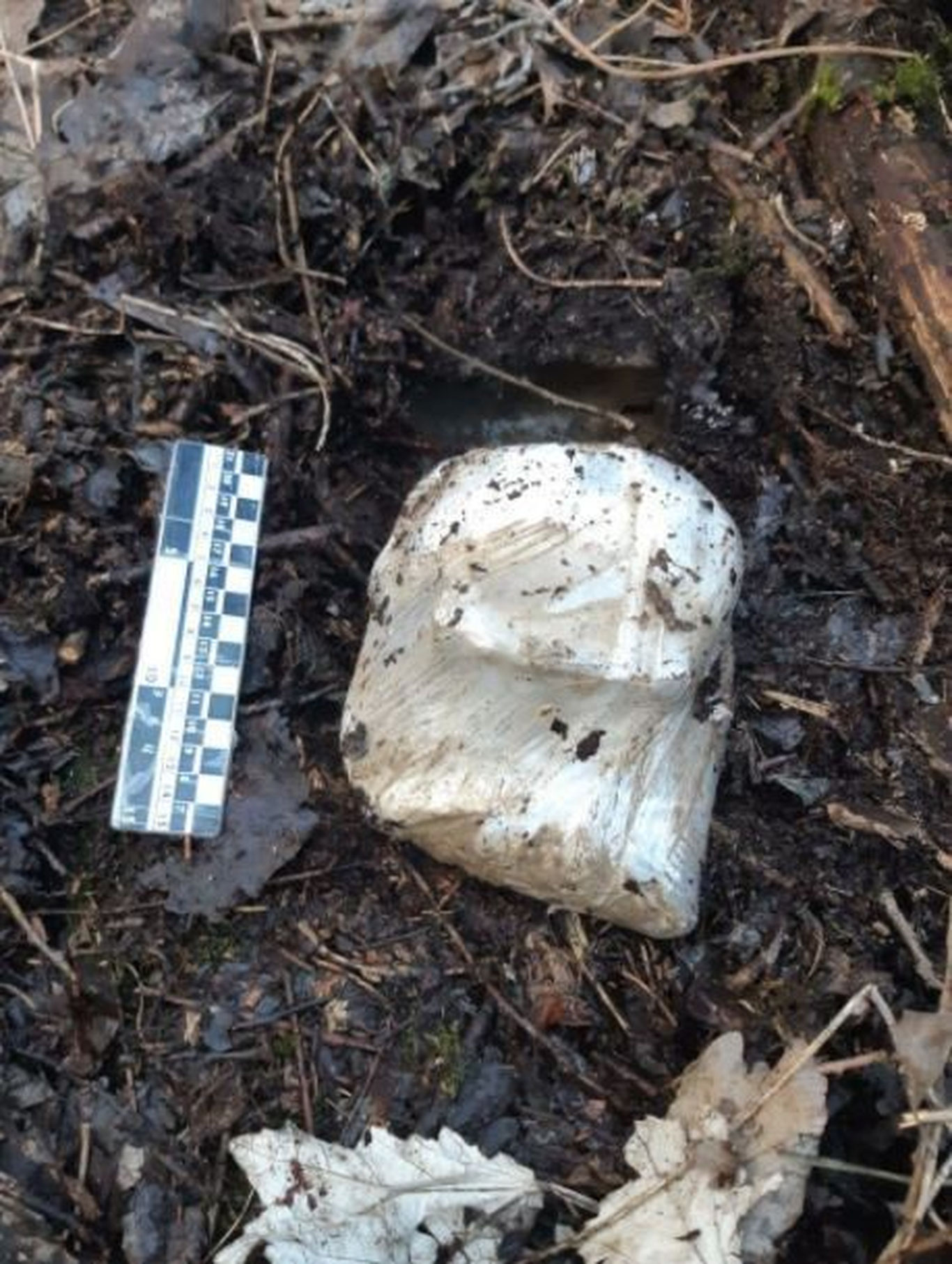 Қабр ичида қилинган жиноят