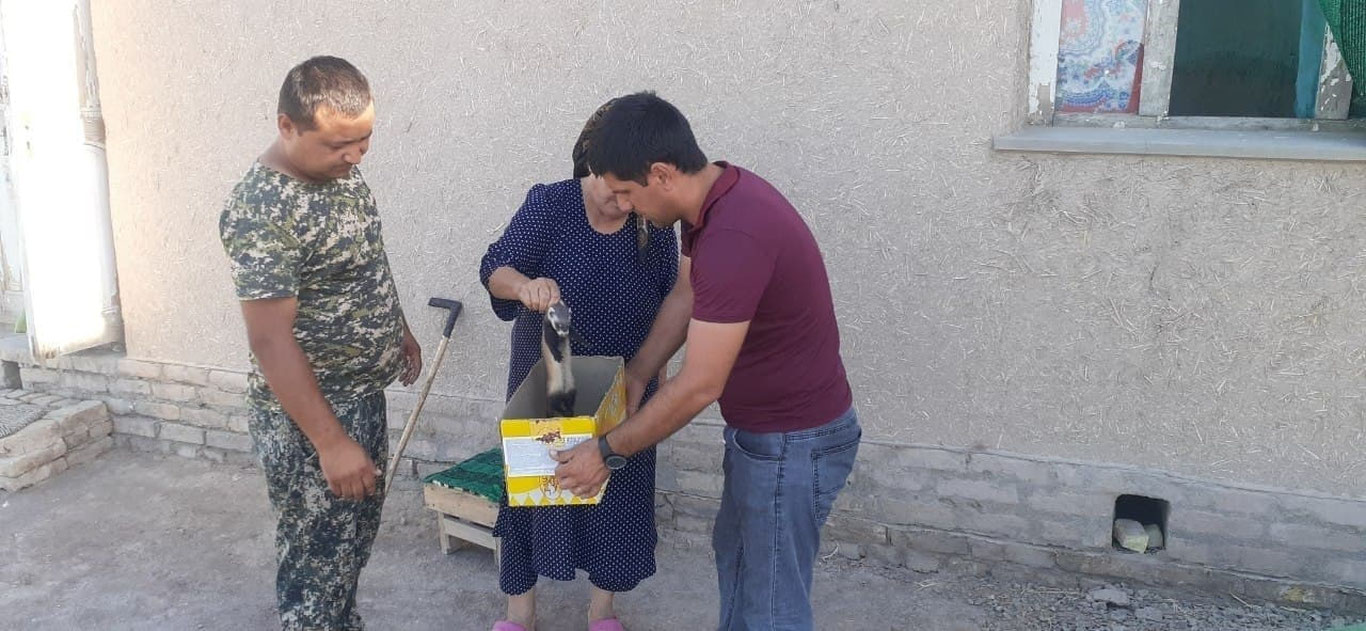 “Qizil kitob”ga kiritilgan hayvonlardan biri bo‘lgan olako‘zanning hayoti saqlab qolindi