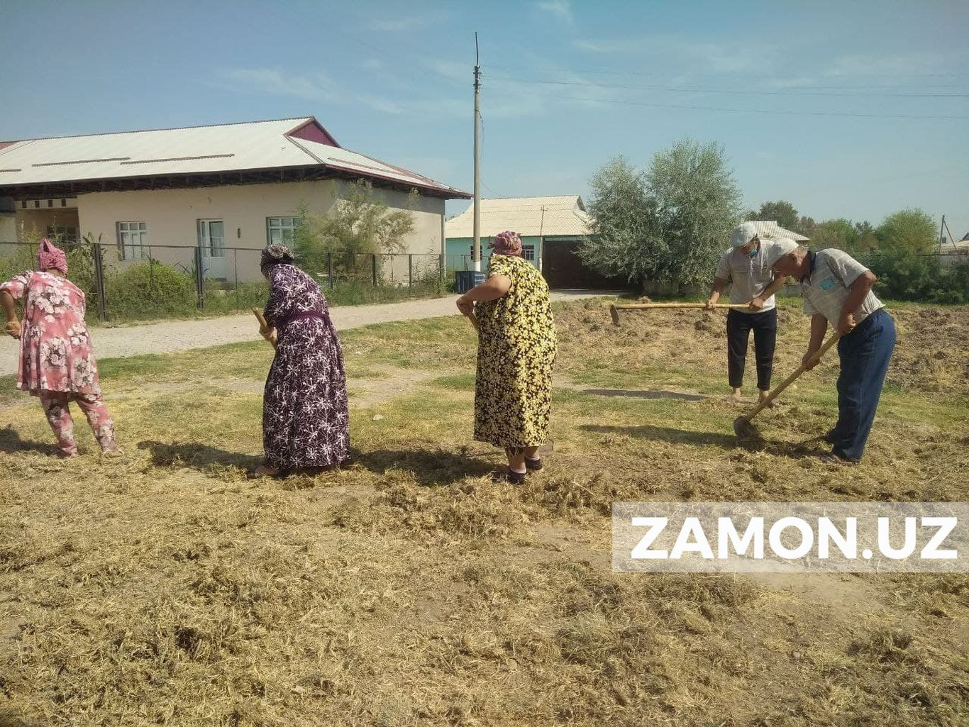 Сирдарёда ўқитувчиларни  мажбуран ишлатган мактаб  директори жаримага тортилди