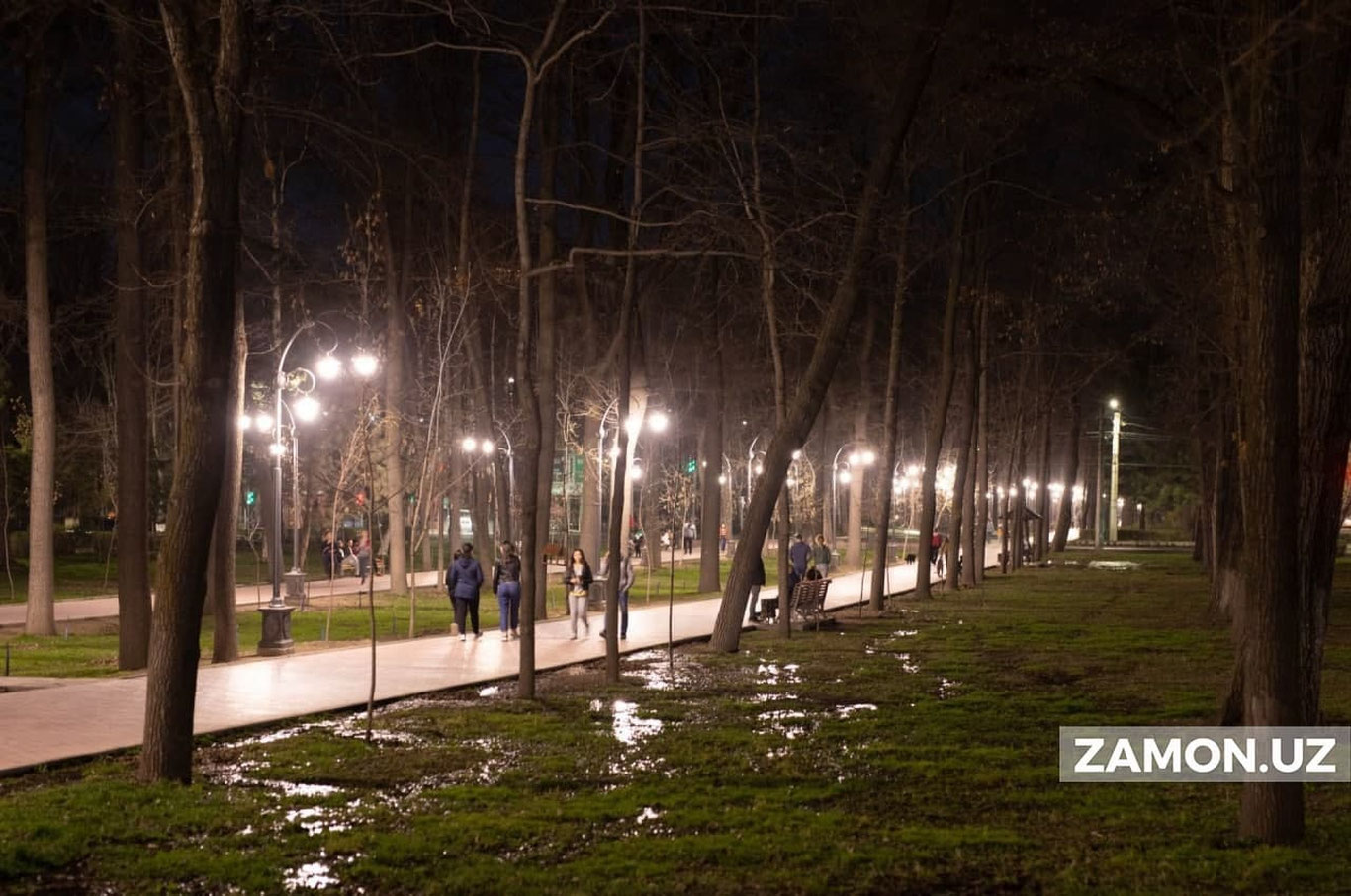 Куз-қиш мавсумида кўча чироқлари ўчирилади