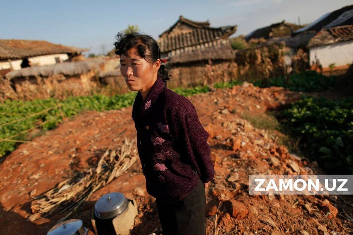 Шимолий Корея қора оққуш гўшти ёрдамида очликка қарши курашмоқчи