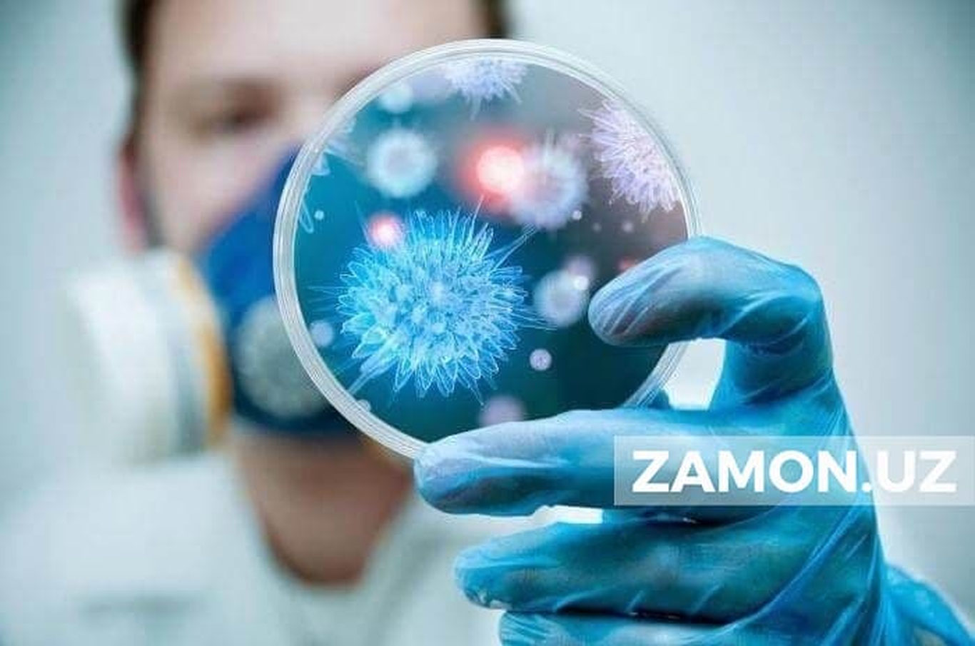 Zamburug‘li teri kasalliklari kuz mavsumida avj oladi