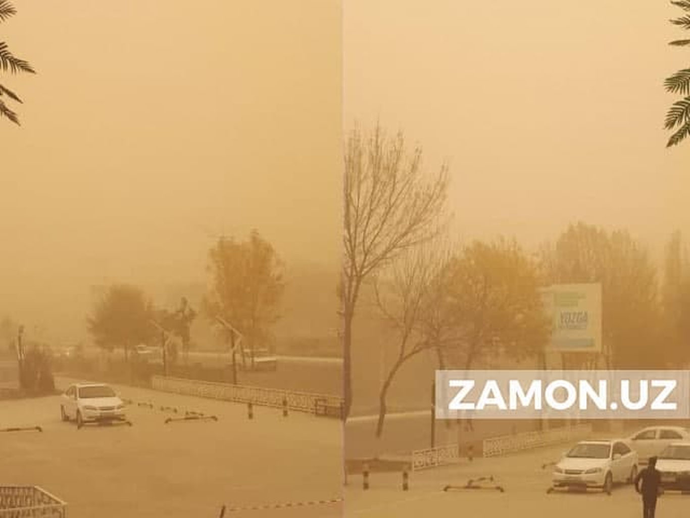 CCВ: Тошкентда 678 киши нафас қисиши туфайли "Тез ёрдам"га мурожаат қилди