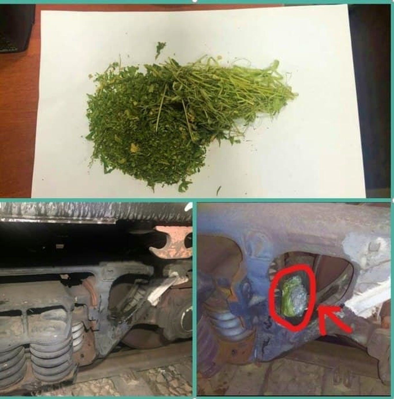 Yuk poyezdiga yashirilgan giyohvandlik moddasi aniqlandi