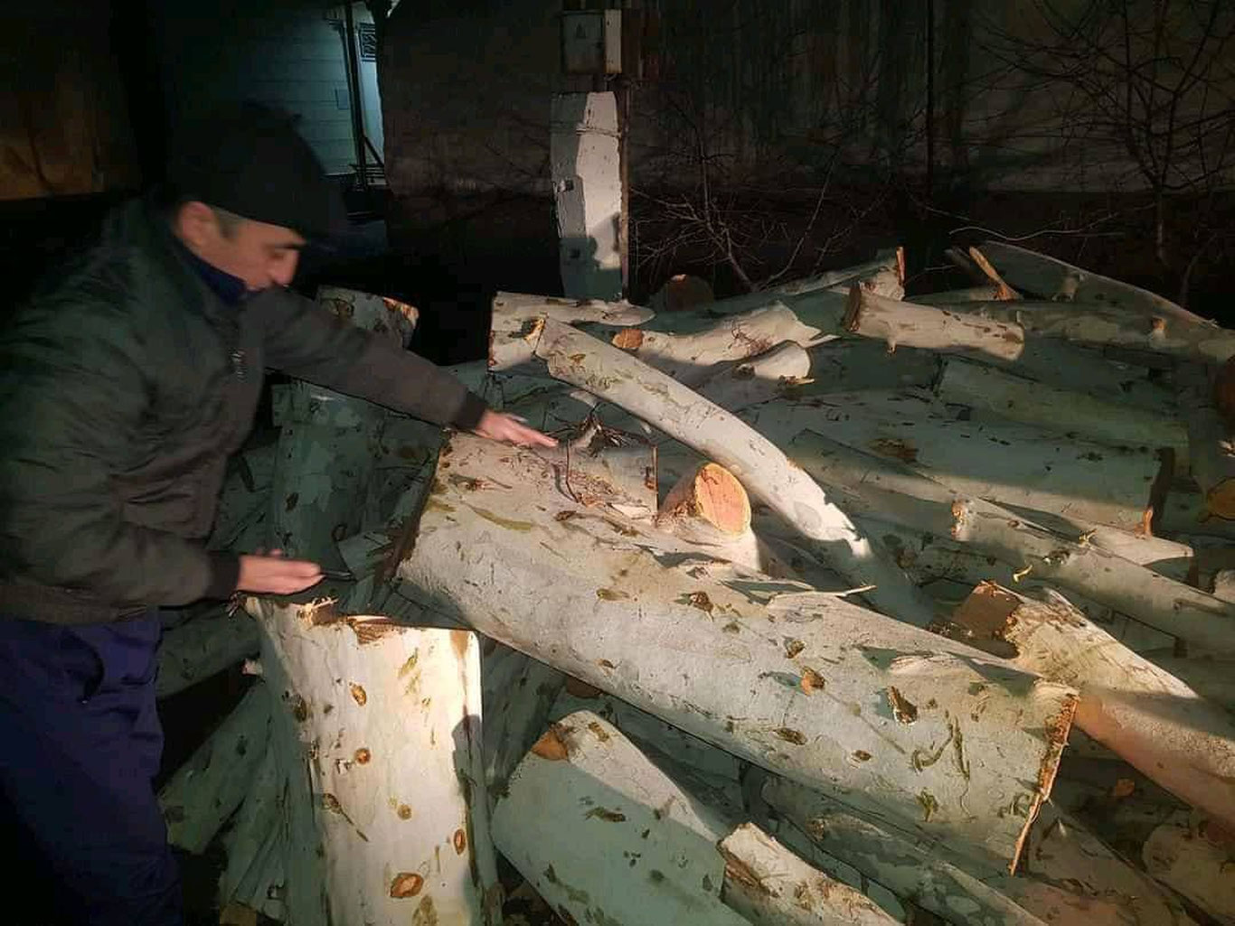 Андижондаги перинатал марказ ҳудудида 12 туп дарахтлар қонунга хилоф равишда кесилди