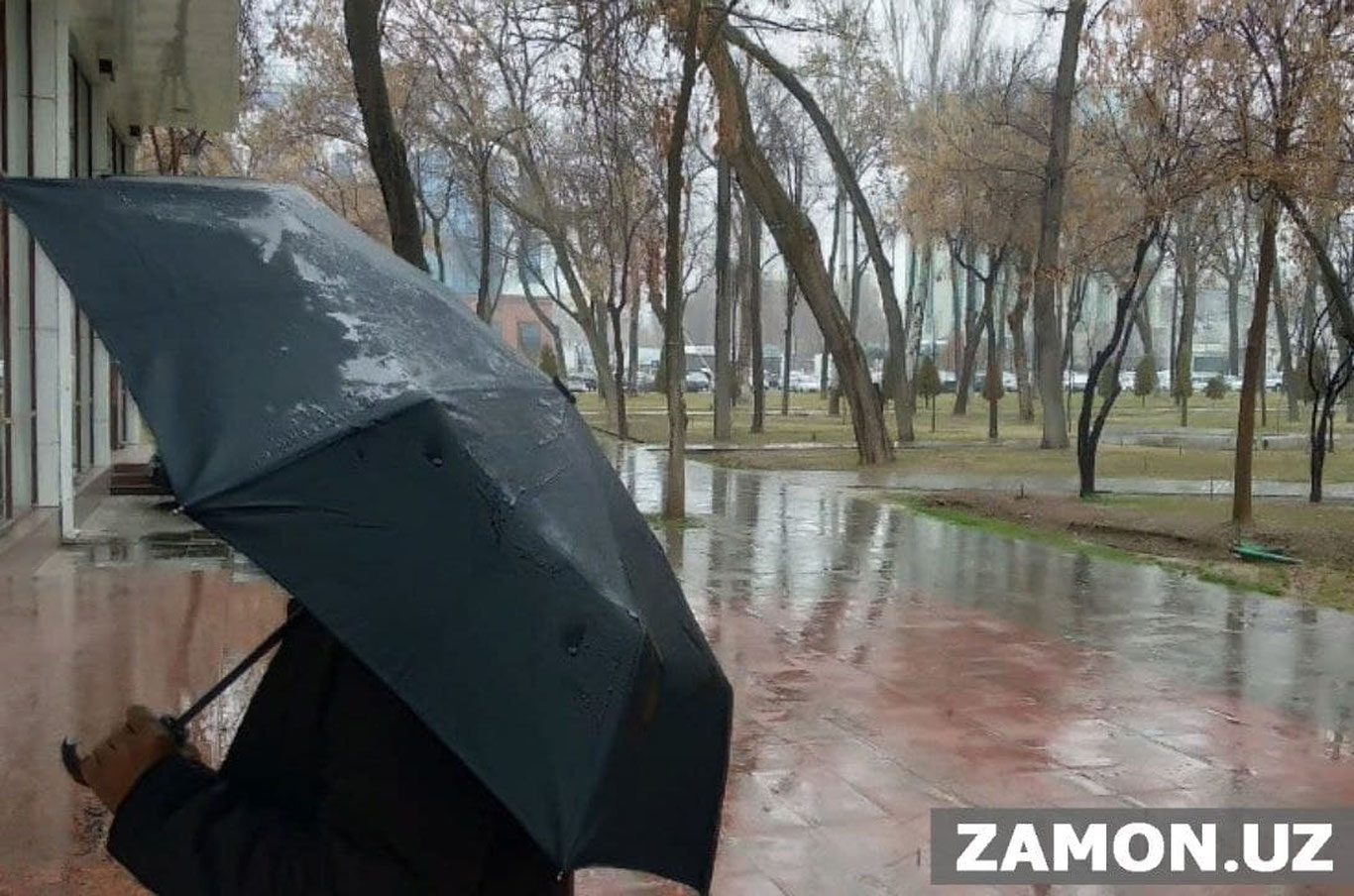 O’zgidromet 7-mart kungi ob-havo prognozini e’lon qildi