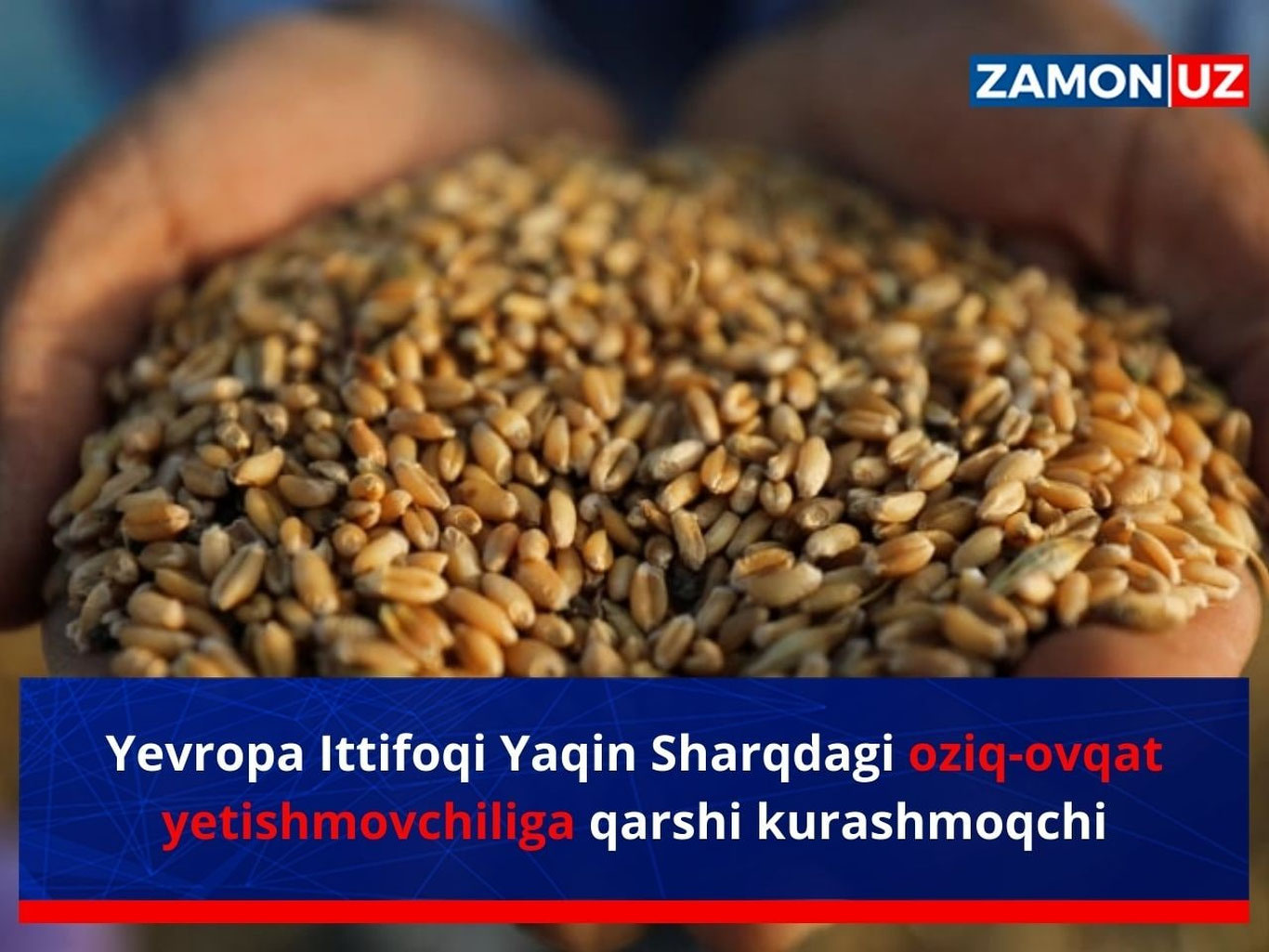 Европа Иттифоқи Яқин Шарқдаги озиқ-овқат етишмовчилига қарши курашмоқчи