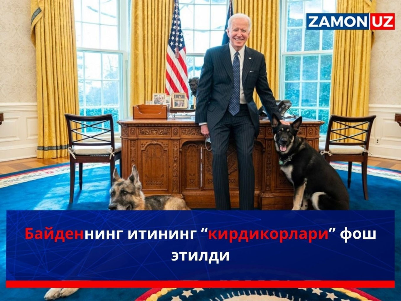 Байденнинг итининг “кирдикорлари” фош этилди