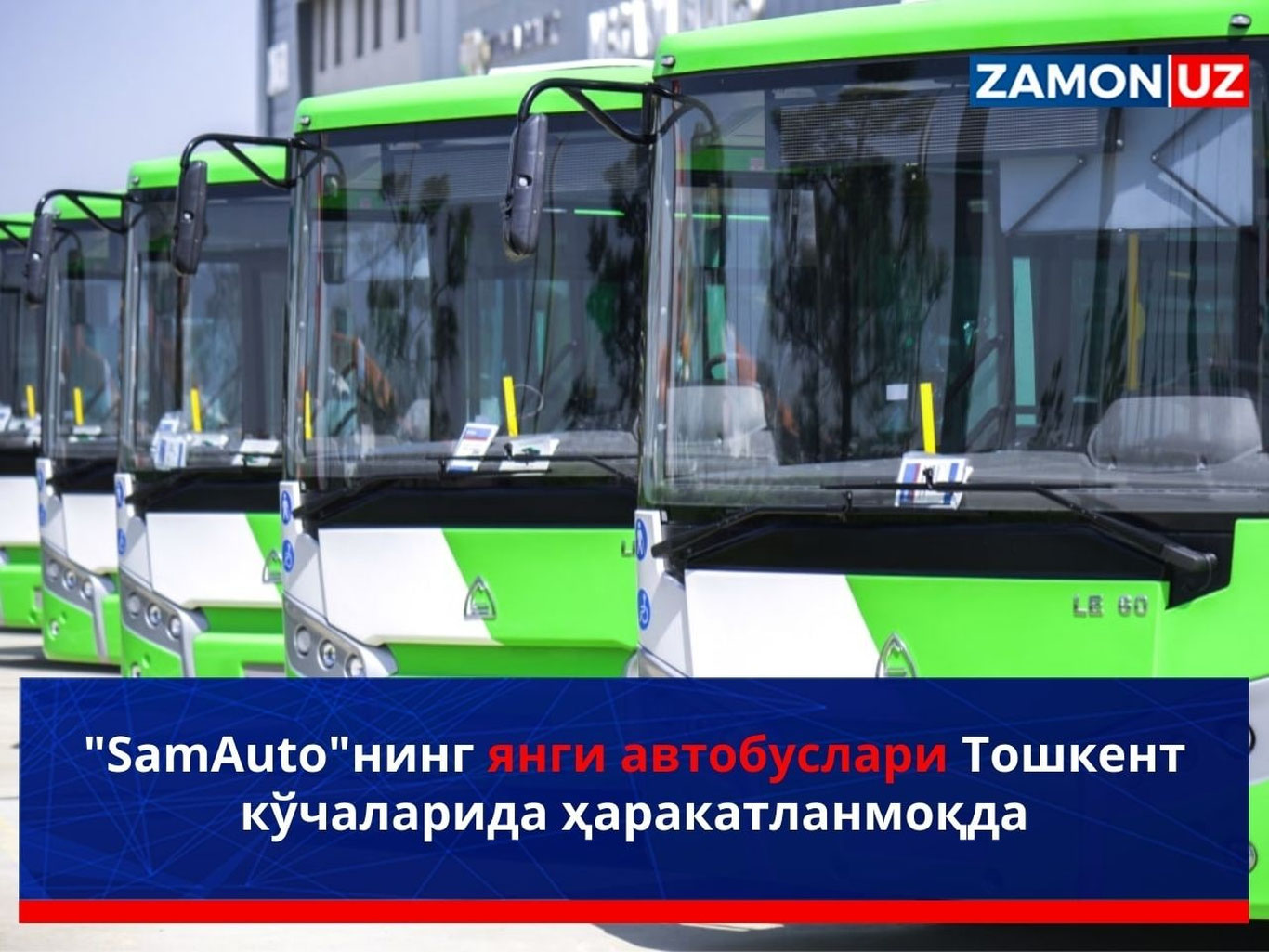 “SamAuto”ning yangi avtobuslari Toshkent ko‘chalarida harakatlanmoqda