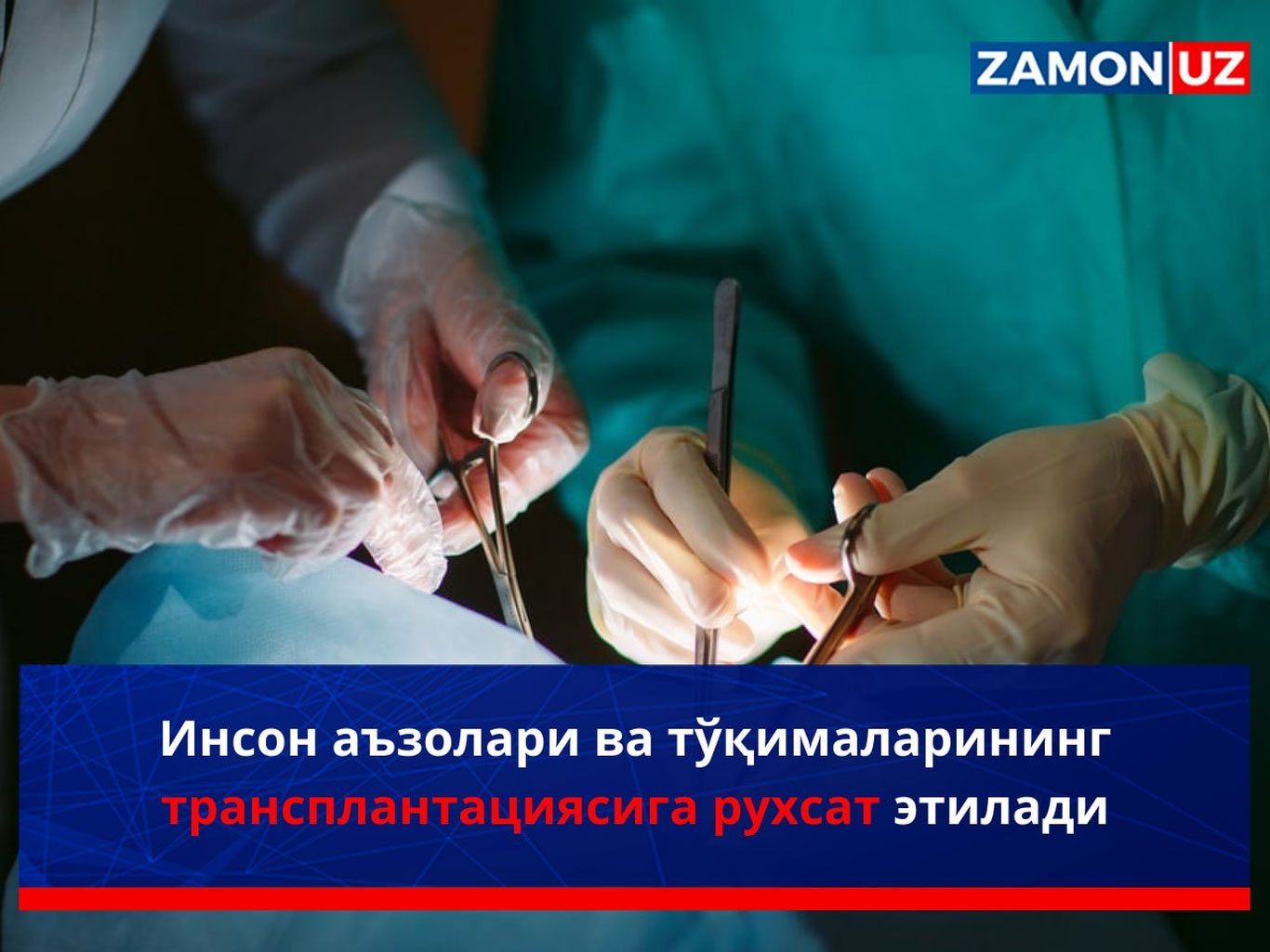 Инсон аъзолари ва тўқималарининг трансплантациясига рухсат этилади