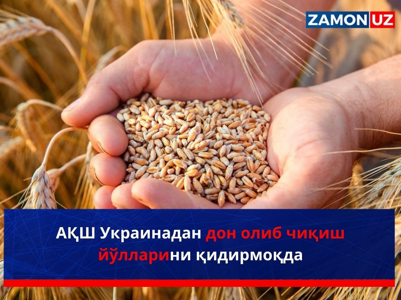 АҚШ Украинадан дон олиб чиқиш йўлларини қидирмоқда