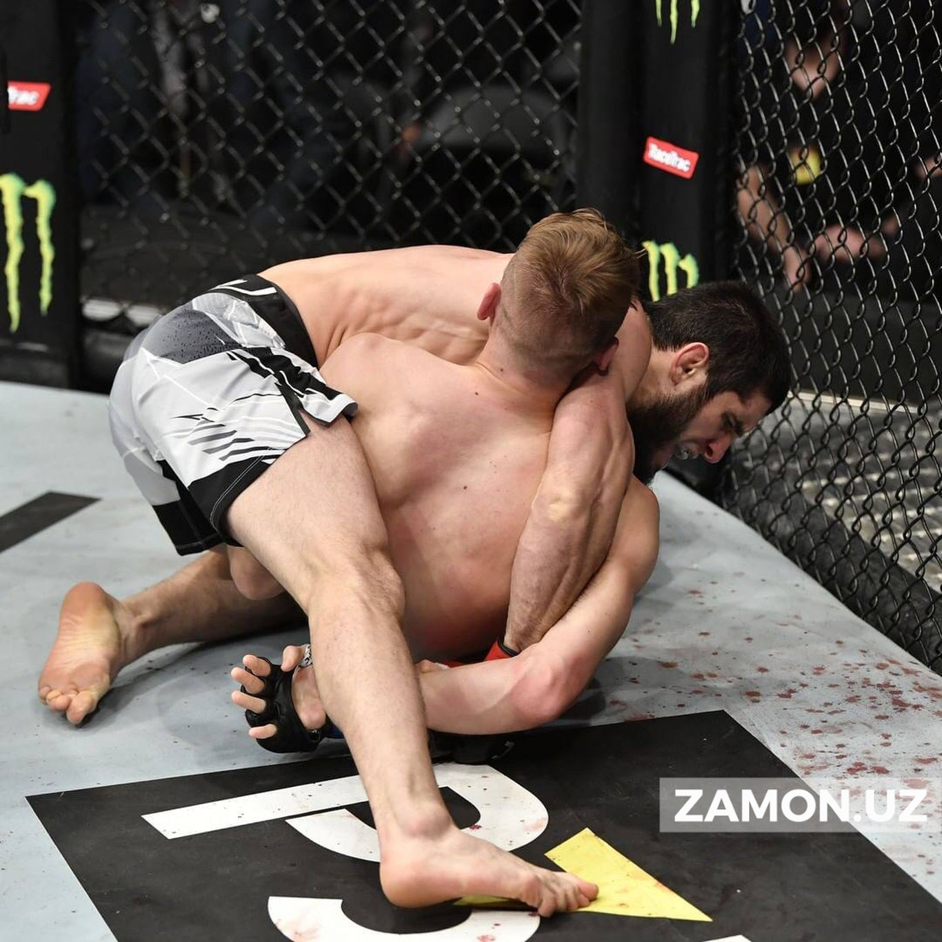 UFC 267 турнирининг асосий жангларида қандай натижалар қайд этилди?